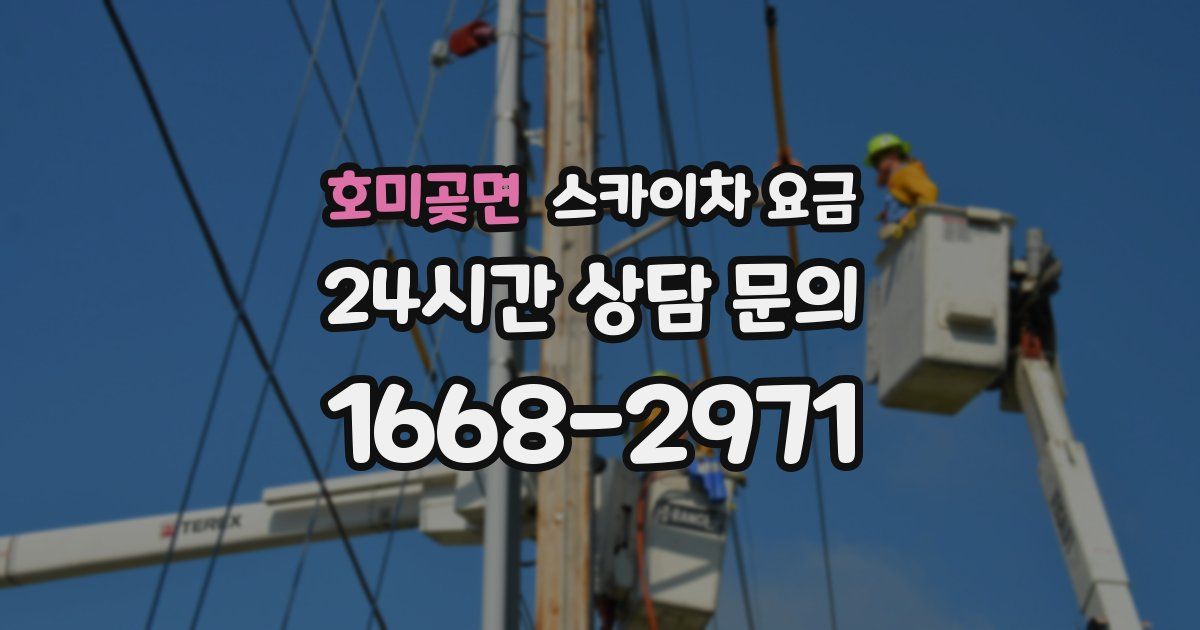 호미곶면 스카이차 요금