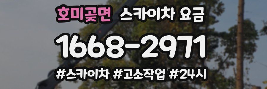 호미곶면 스카이차 요금