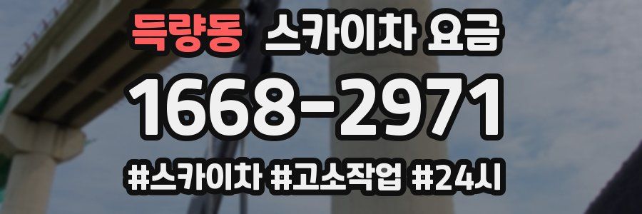 득량동 스카이차 요금