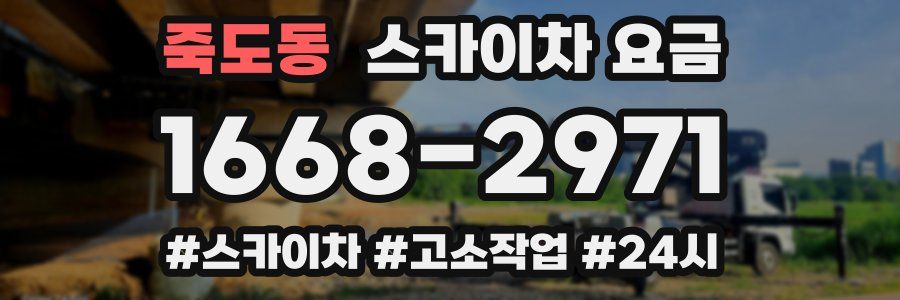 죽도동 스카이차 요금