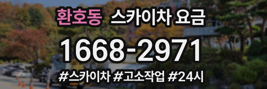 환호동 스카이차 요금