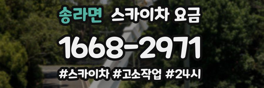 송라면 스카이차 요금