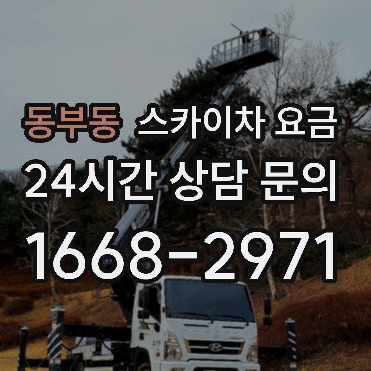 동부동 스카이차 요금