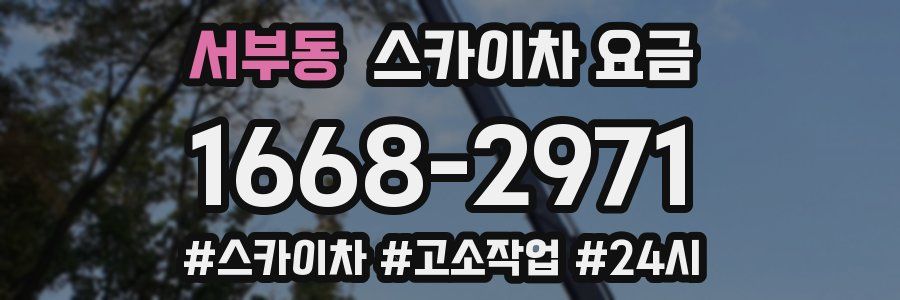 서부동 스카이차 요금