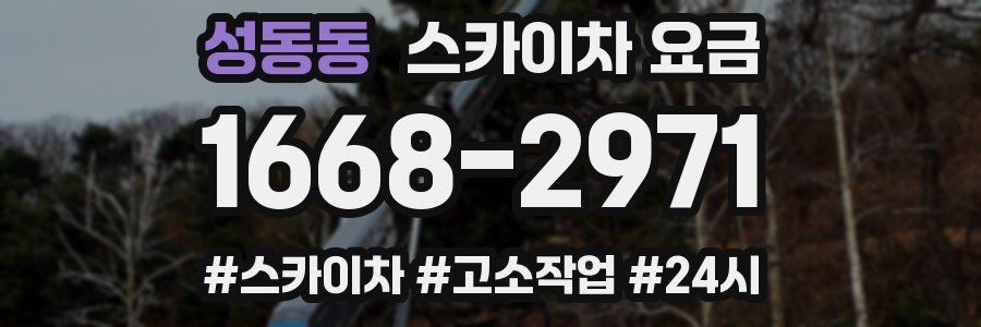 성동동 스카이차 요금