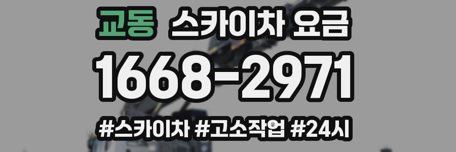 교동 스카이차 요금