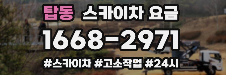 탑동 스카이차 요금