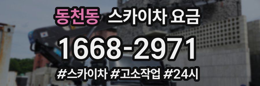 동천동 스카이차 요금