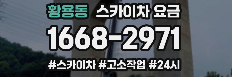 황용동 스카이차 요금