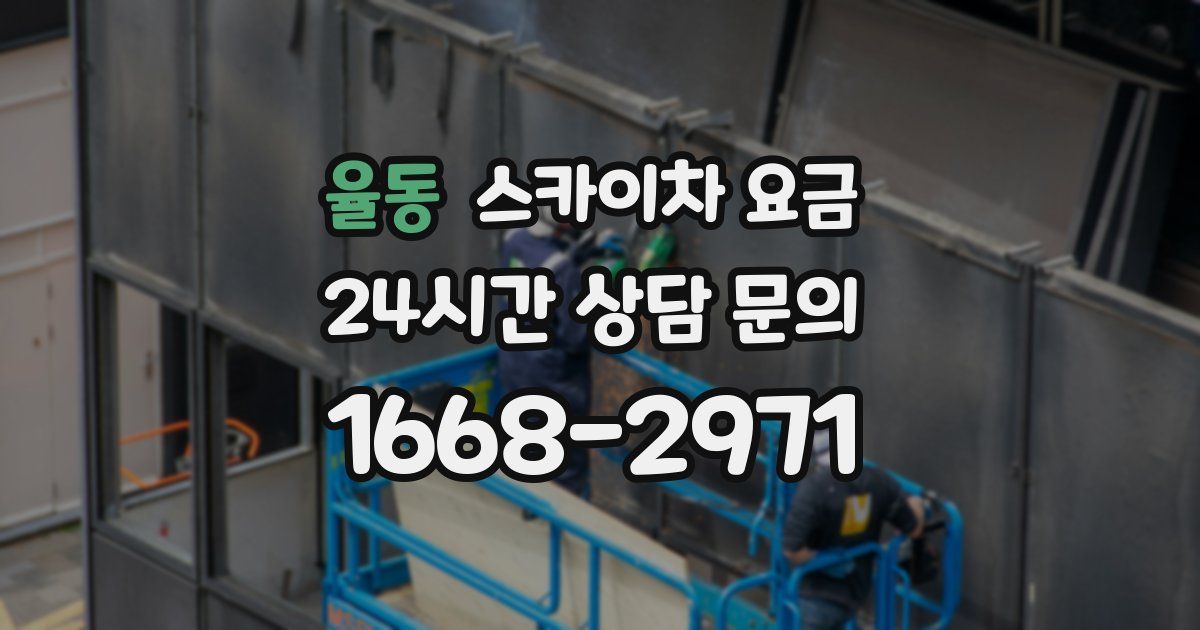 율동 스카이차 요금