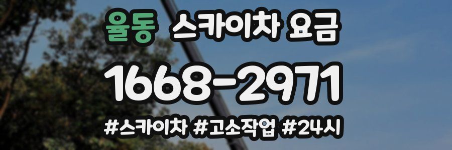 율동 스카이차 요금