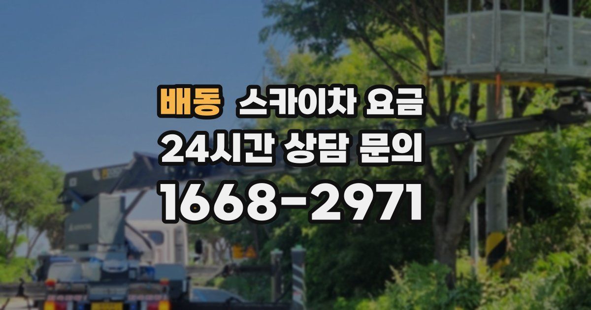 배동 스카이차 요금