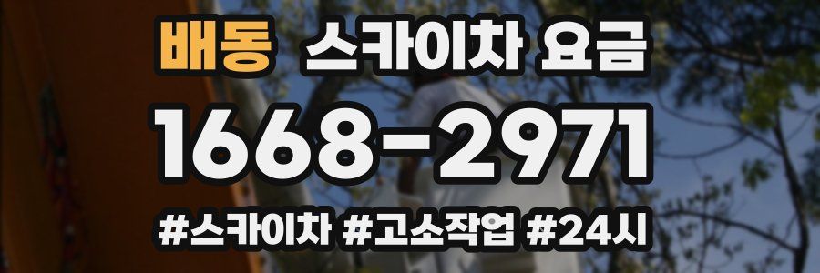 배동 스카이차 요금