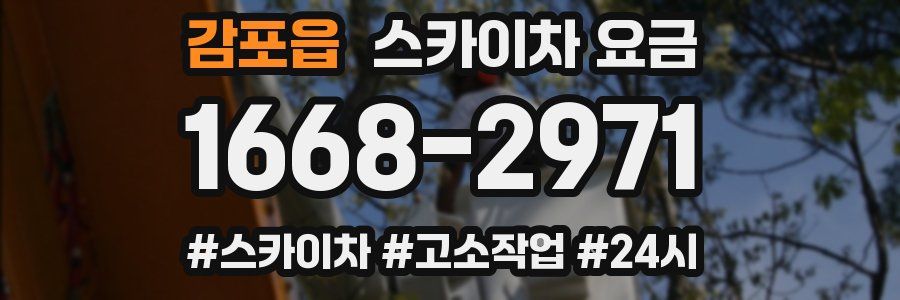 감포읍 스카이차 요금