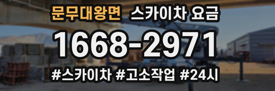 문무대왕면 스카이차 요금
