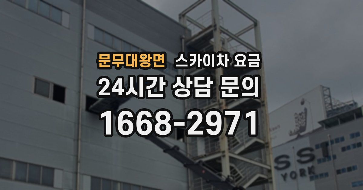 문무대왕면 스카이차 요금