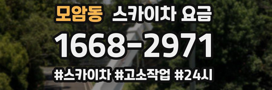 모암동 스카이차 요금