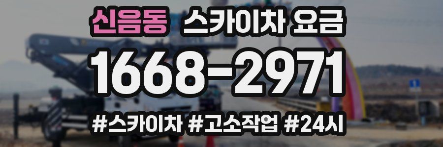 신음동 스카이차 요금
