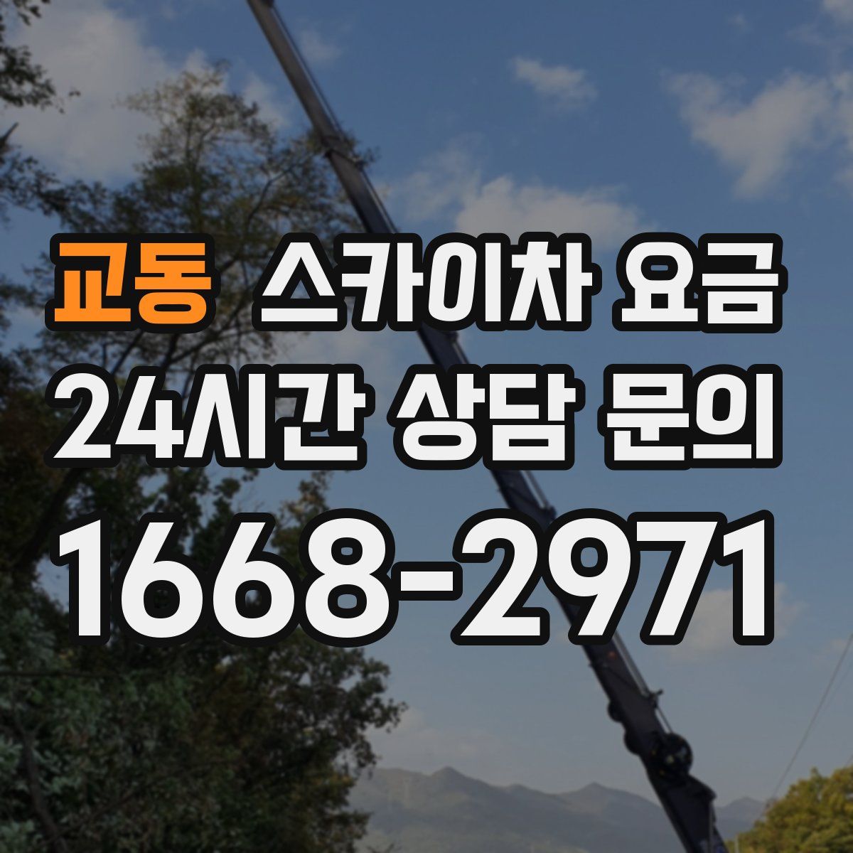 교동 스카이차 요금