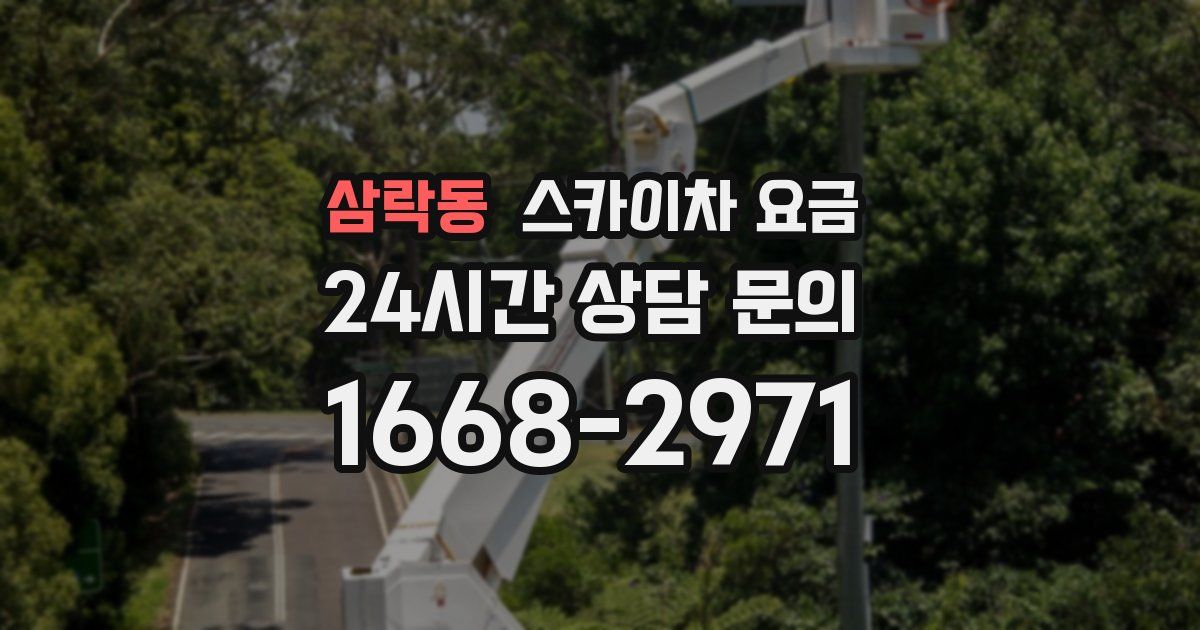 삼락동 스카이차 요금