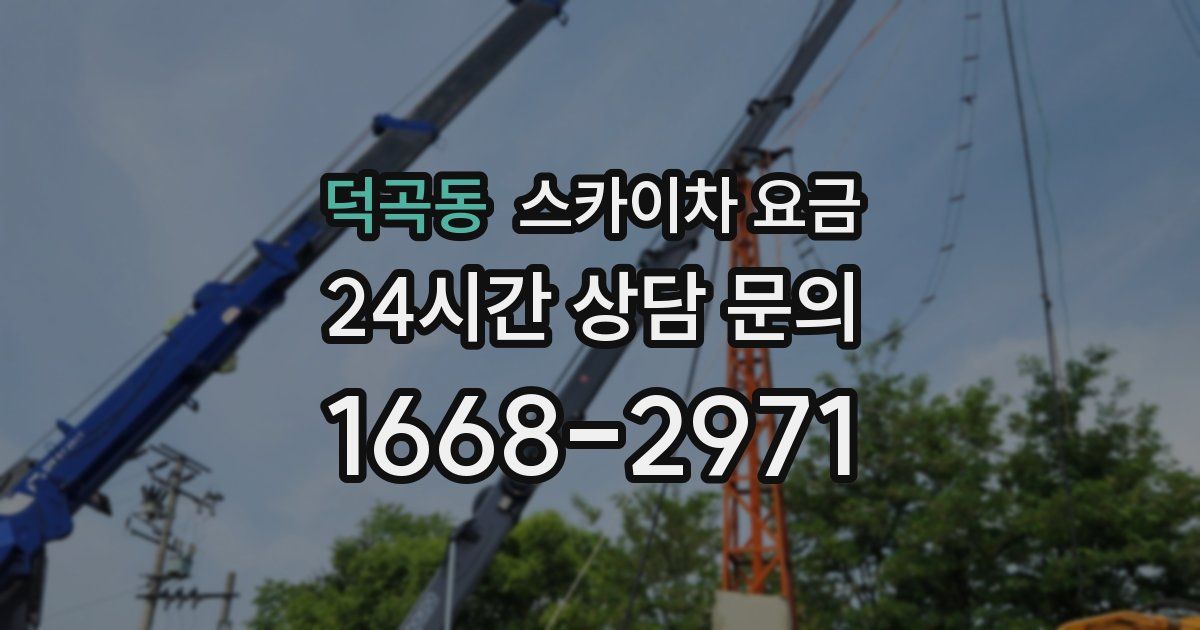 덕곡동 스카이차 요금