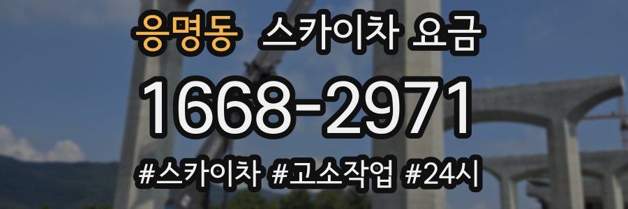 응명동 스카이차 요금