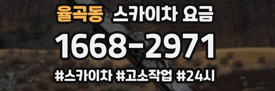 율곡동 스카이차 요금