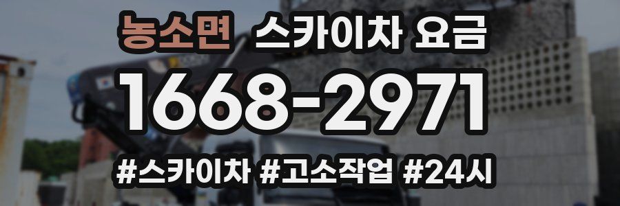 농소면 스카이차 요금