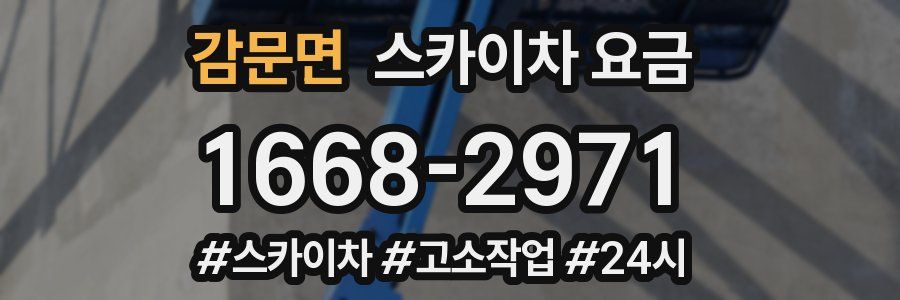 감문면 스카이차 요금