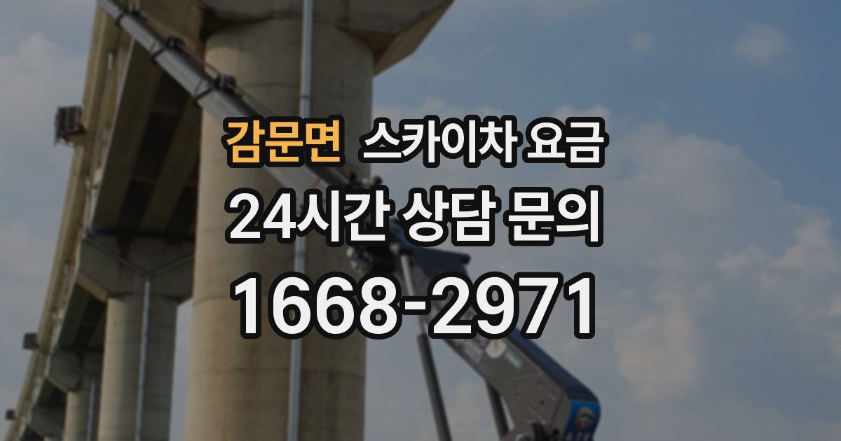 감문면 스카이차 요금