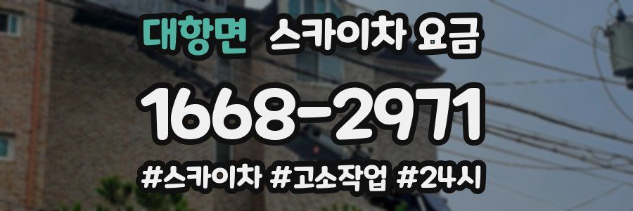 대항면 스카이차 요금