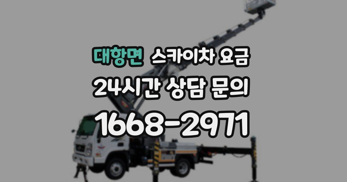 대항면 스카이차 요금