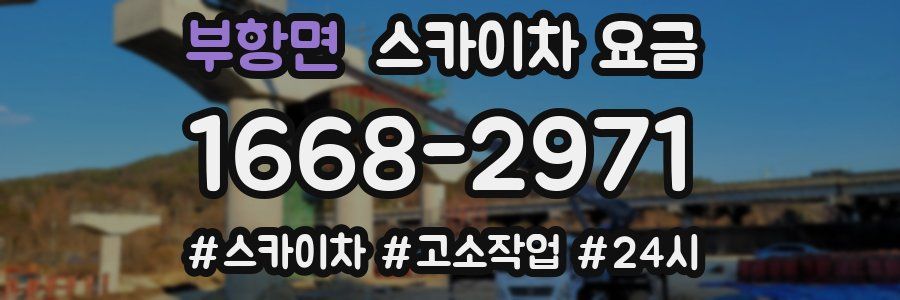 부항면 스카이차 요금