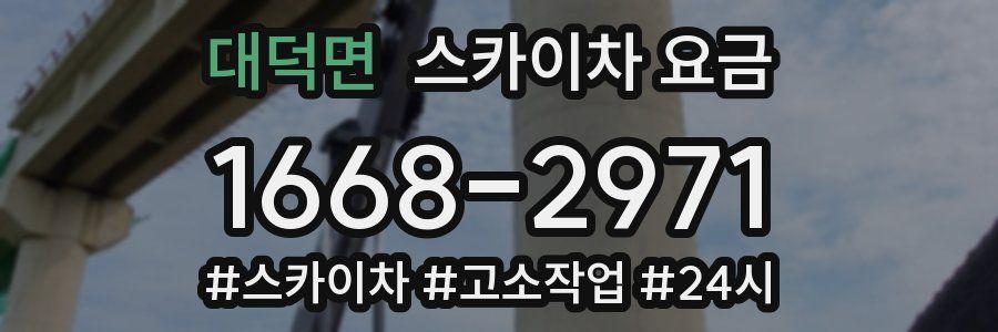 대덕면 스카이차 요금