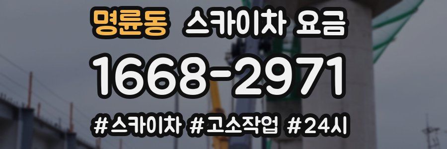 명륜동 스카이차 요금