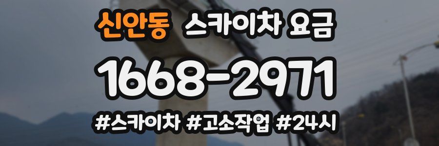 신안동 스카이차 요금