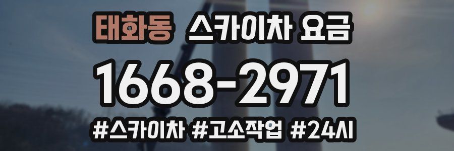 태화동 스카이차 요금