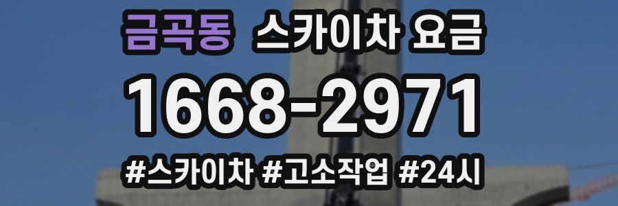 금곡동 스카이차 요금