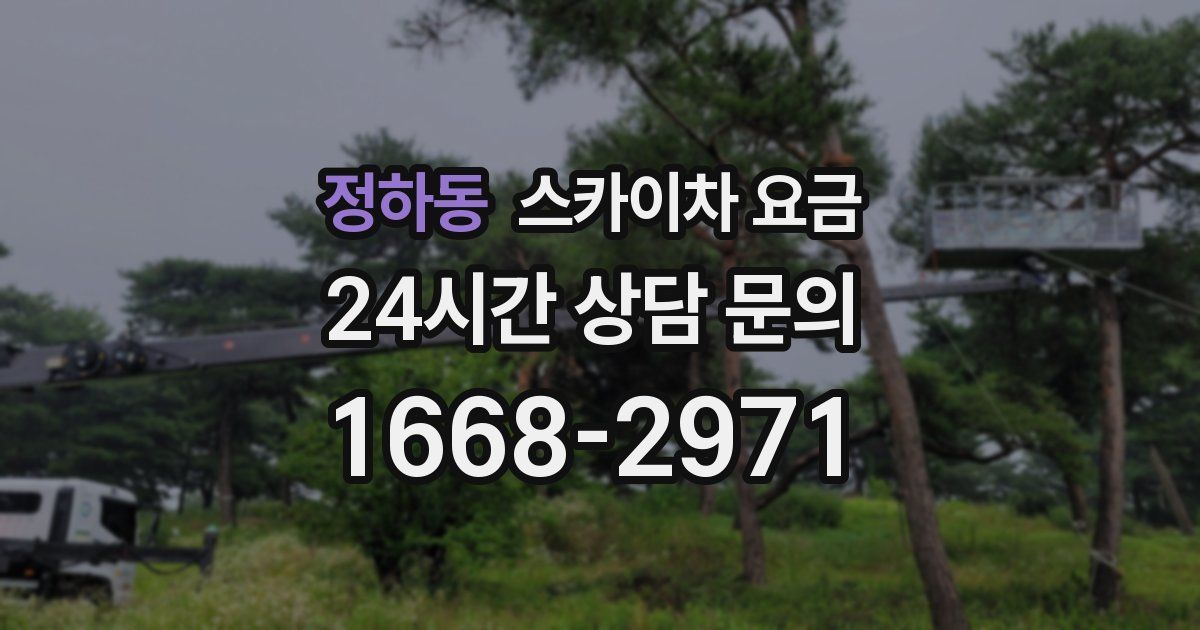 정하동 스카이차 요금