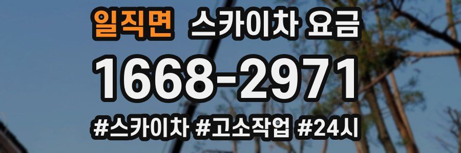 일직면 스카이차 요금