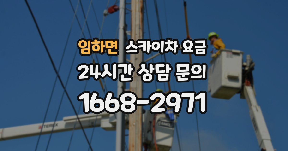 임하면 스카이차 요금