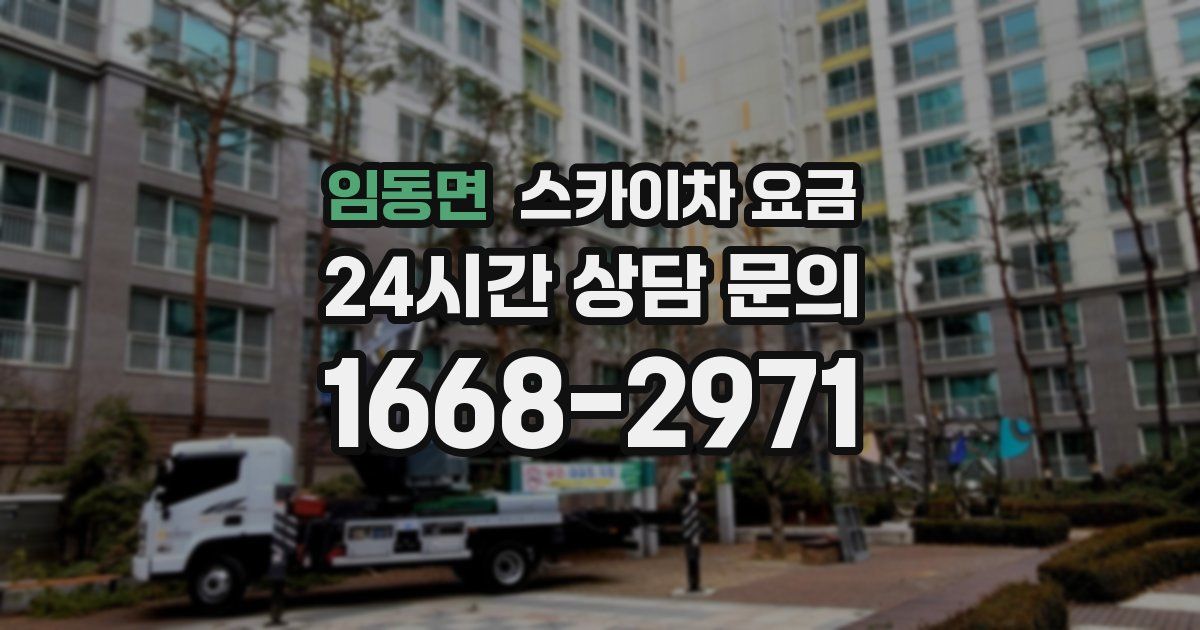 임동면 스카이차 요금