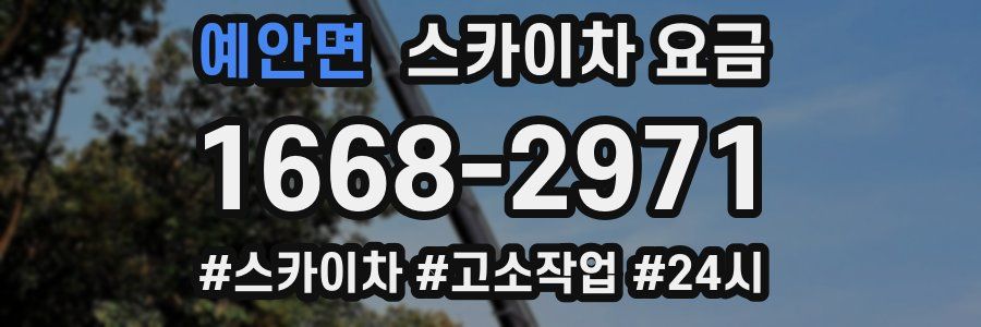 예안면 스카이차 요금