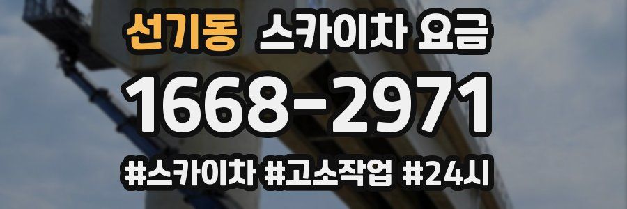 선기동 스카이차 요금