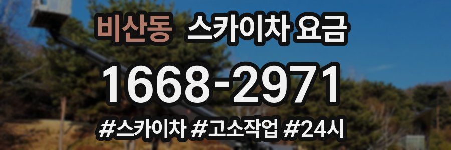 비산동 스카이차 요금