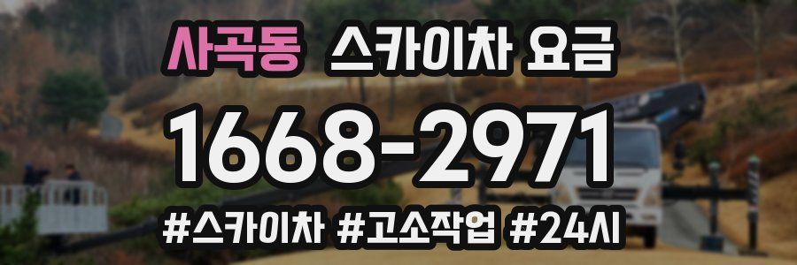 사곡동 스카이차 요금