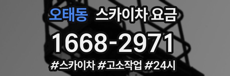 오태동 스카이차 요금