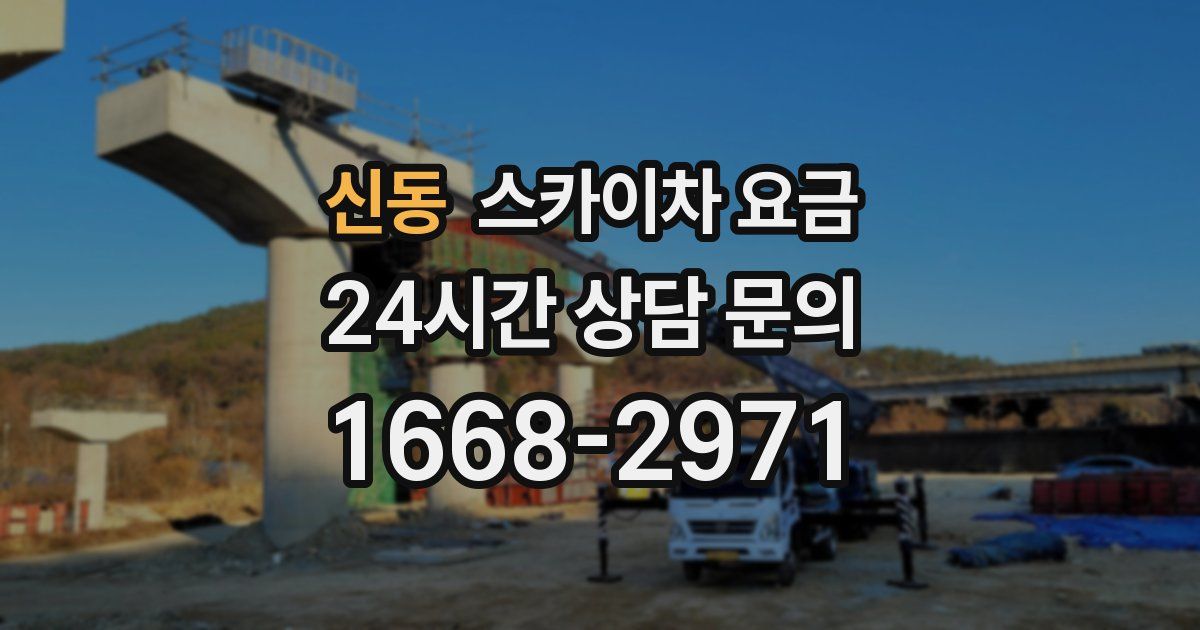 신동 스카이차 요금