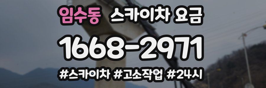 임수동 스카이차 요금