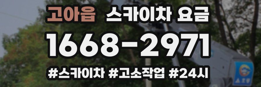 고아읍 스카이차 요금